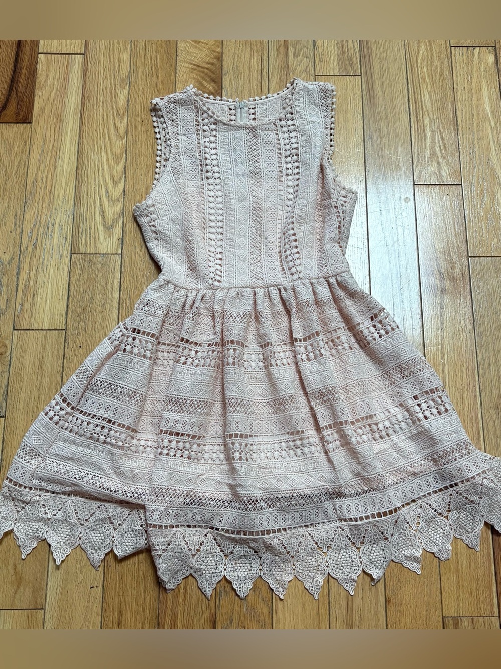 BB Dakota Blush Lace Midi Dress with Scalloped Hem